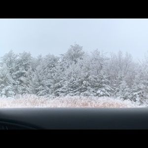 Meet your Posher, Jayla